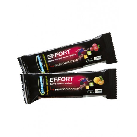 ERGYSPORT BARRE EFFORT