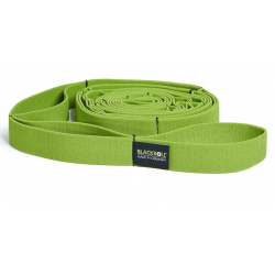 BLACKROLL MULTI BAND